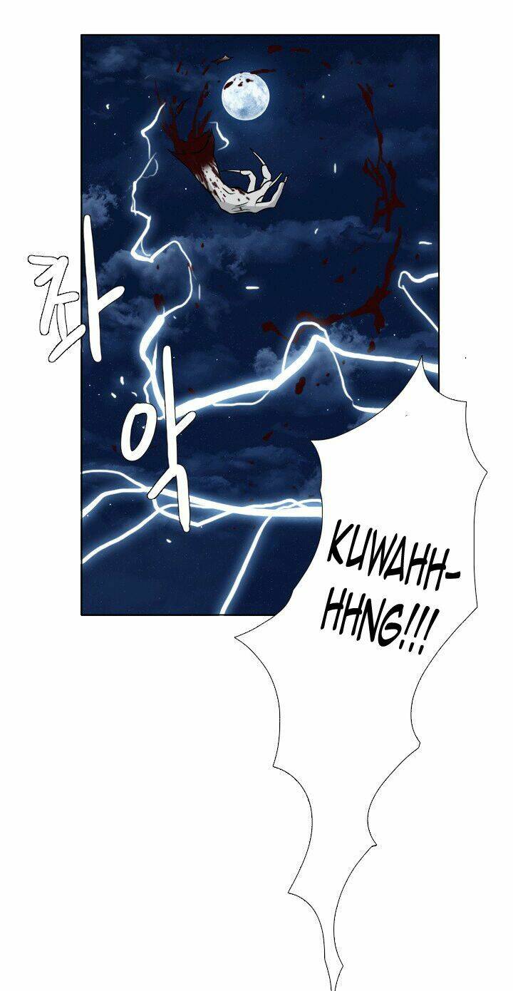 m. m. g. chapter 11 24