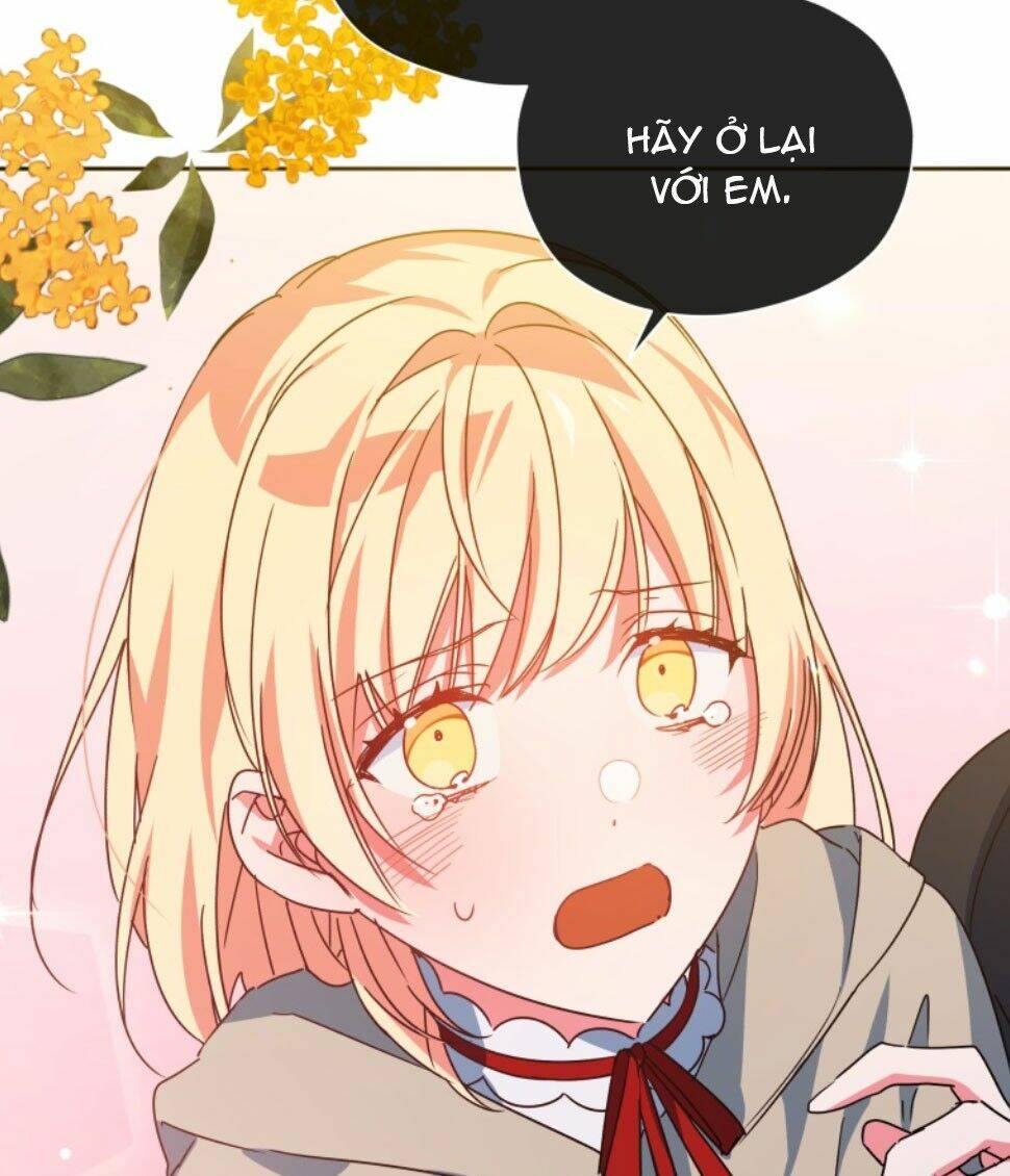 nàng elizabeth thuần khiết chapter 36 5