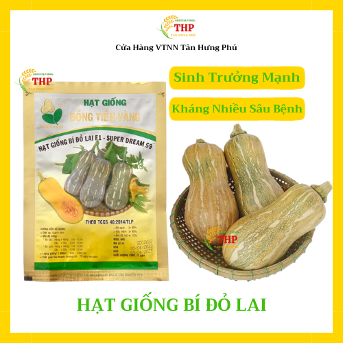Hạt giống Bí Đỏ Lai F1 Super Dream 59 | Hạt Giống | gói 11gr