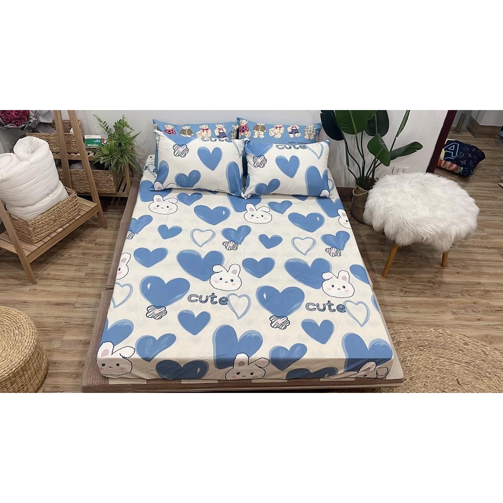 Ga Gối Cotton Chun
