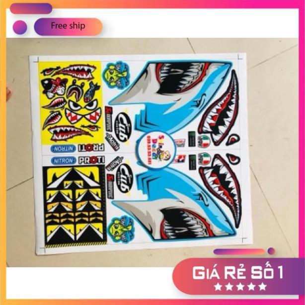 Tem rời cá mập cub châu âu bảo hành màu sắc vĩnh viễn