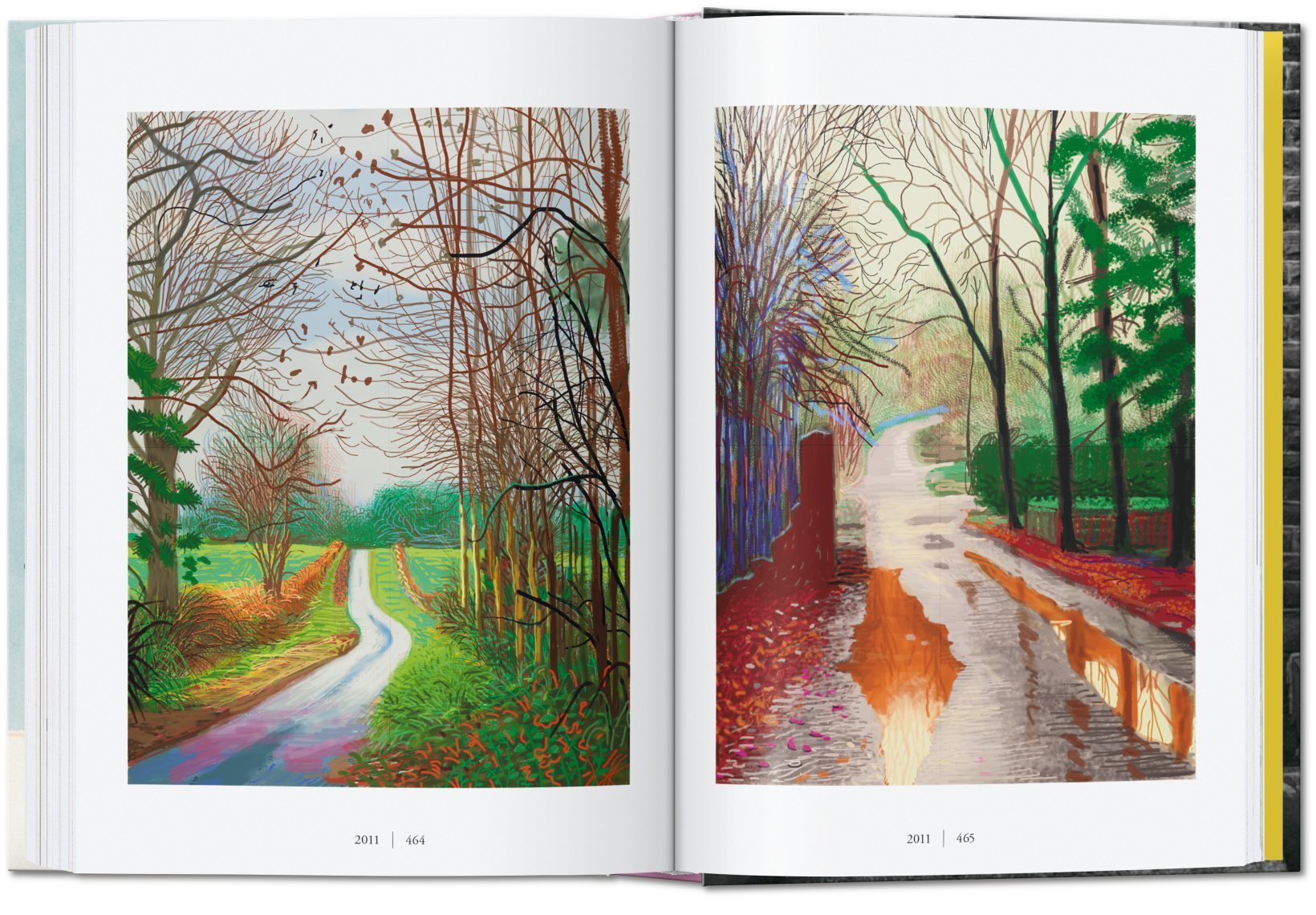 Artbook - Sách Tiếng Anh - David Hockney