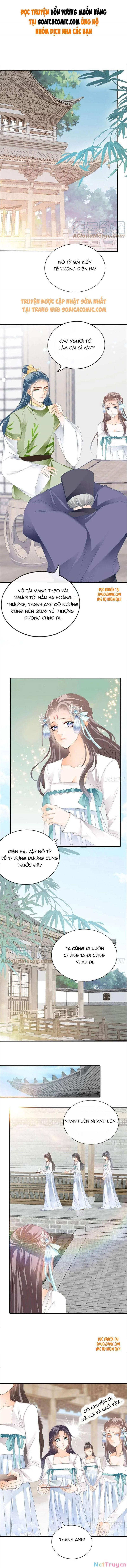 bổn vương muốn nàng chapter 100 1