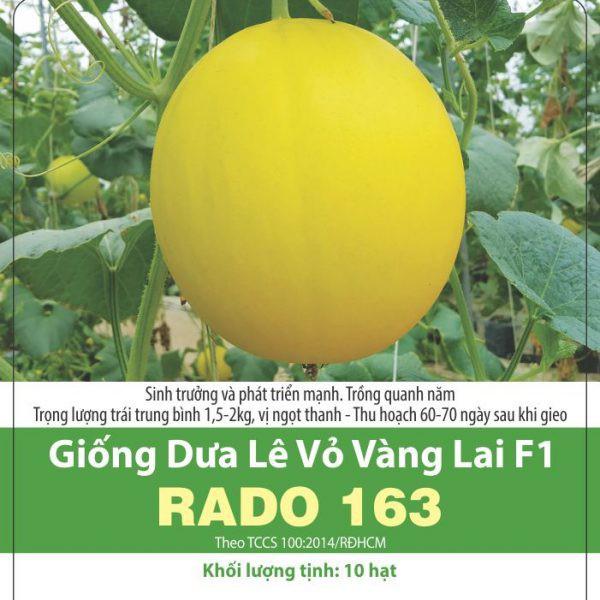 Hạt Giống Dưa Hoàng Kim F1 Rado 163 - 5 hạt - sai trái, trái chín có mùi thơm rất ngon thu hoạch 50– 55 ngày sau gieo