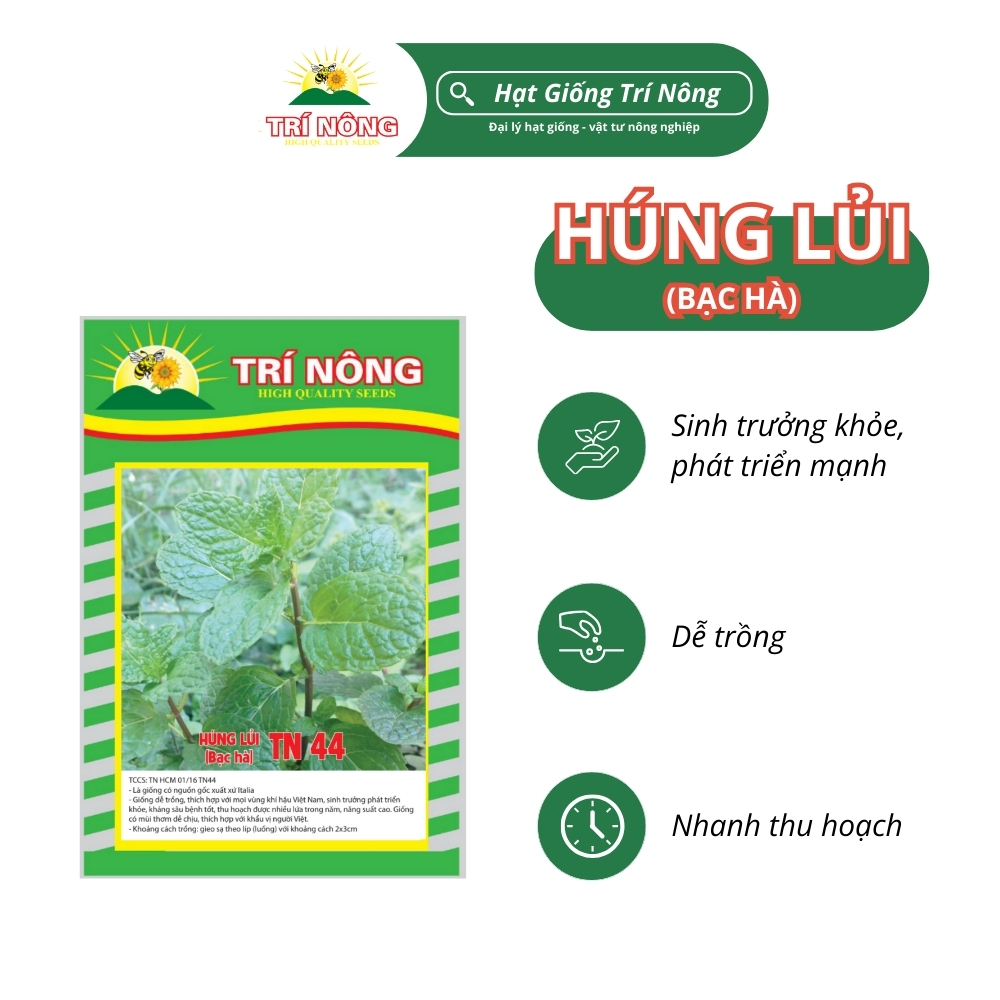 Hạt Giống Húng Lủi Trí Nông , TN44, Dễ Trồng, Dễ Chăm Sóc, Nhanh thu hoạch, Gói 0,2 gram