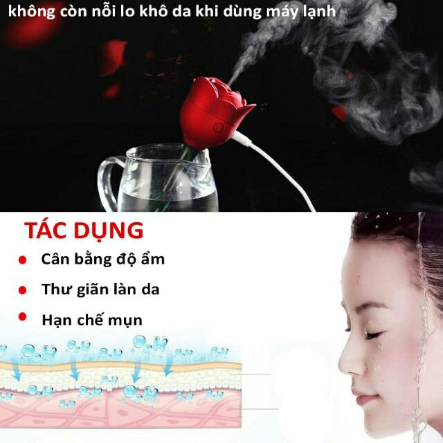 Máy Phun Sương Mini Bông Hoa Hồng (Độc và Lạ)