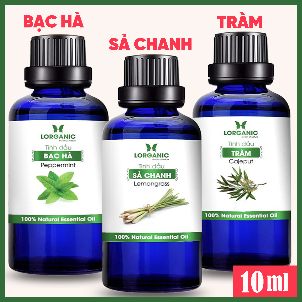 Combo 3 Tinh Dầu LORGANIC / Nhiều Mùi Hương / Xông Phòng Thư Giãn, Đuổi Muỗi / Sả Chanh, Vỏ Quế, Bạc Hà, Tràm, Cam, Vỏ Bưởi (10ml)