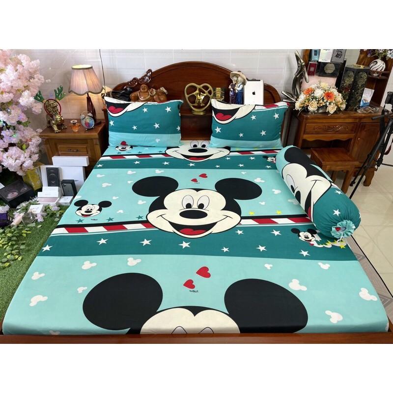 Drap thun hàn quốc