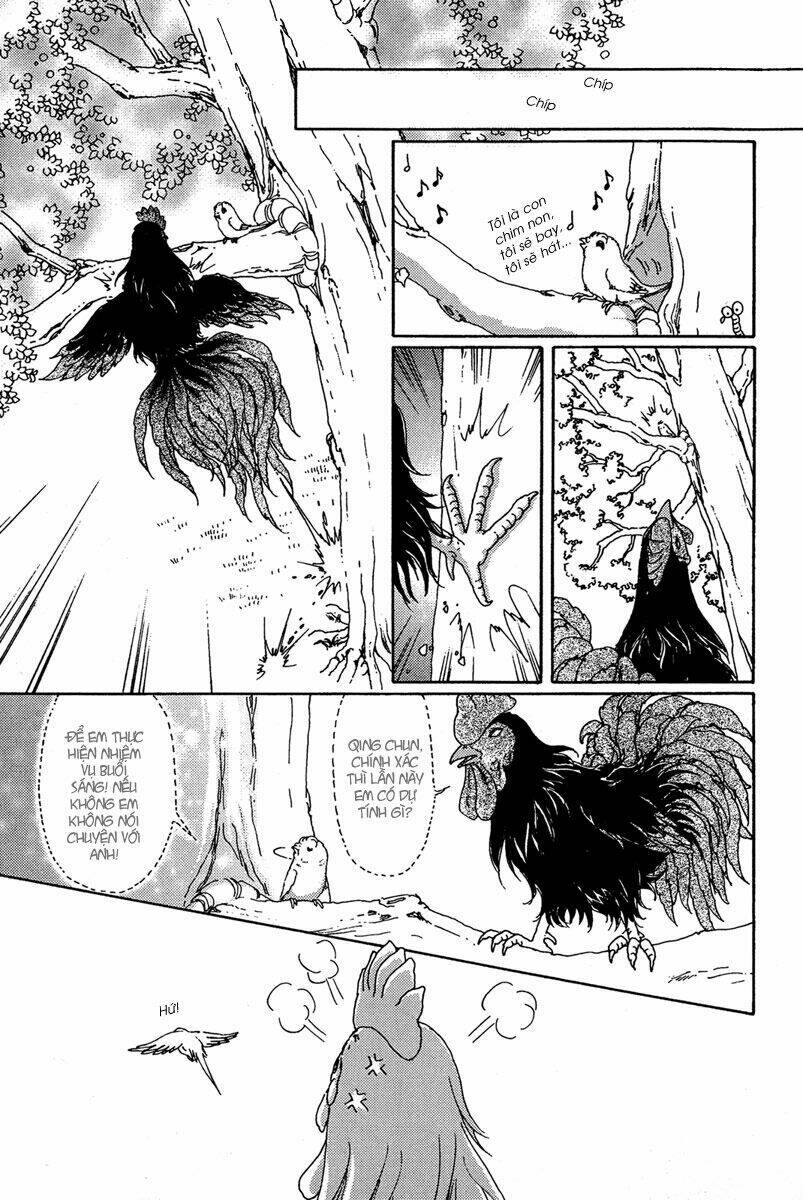 bird of youth chapter 1 22