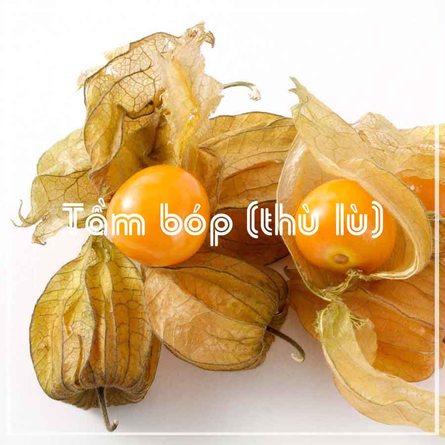 CÂY TẦM BÓP khô sạch đóng gói 1kg - Hàng Công ty loại 1