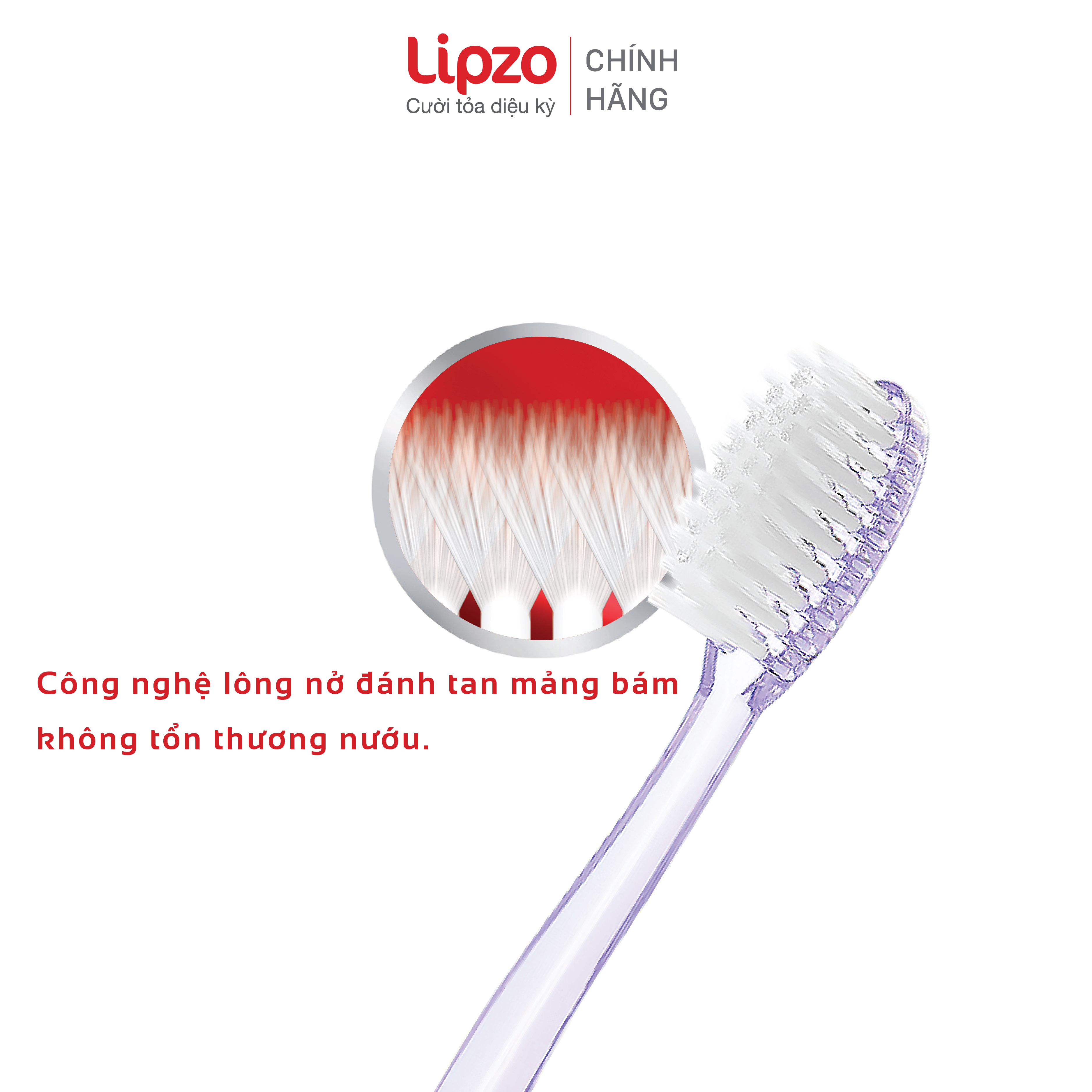 Bộ Đôi Tiết Kiệm Bàn Chải Đánh Răng Lipzo Crys Love For Girl Cho Nữ Giới Công Nghệ Lông Nở Kết Hợp Chỉ Tơ Nha Khoa
