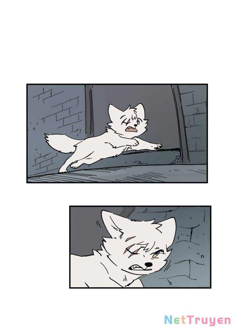 lumine - cội nguồn ánh sáng chapter 160 1