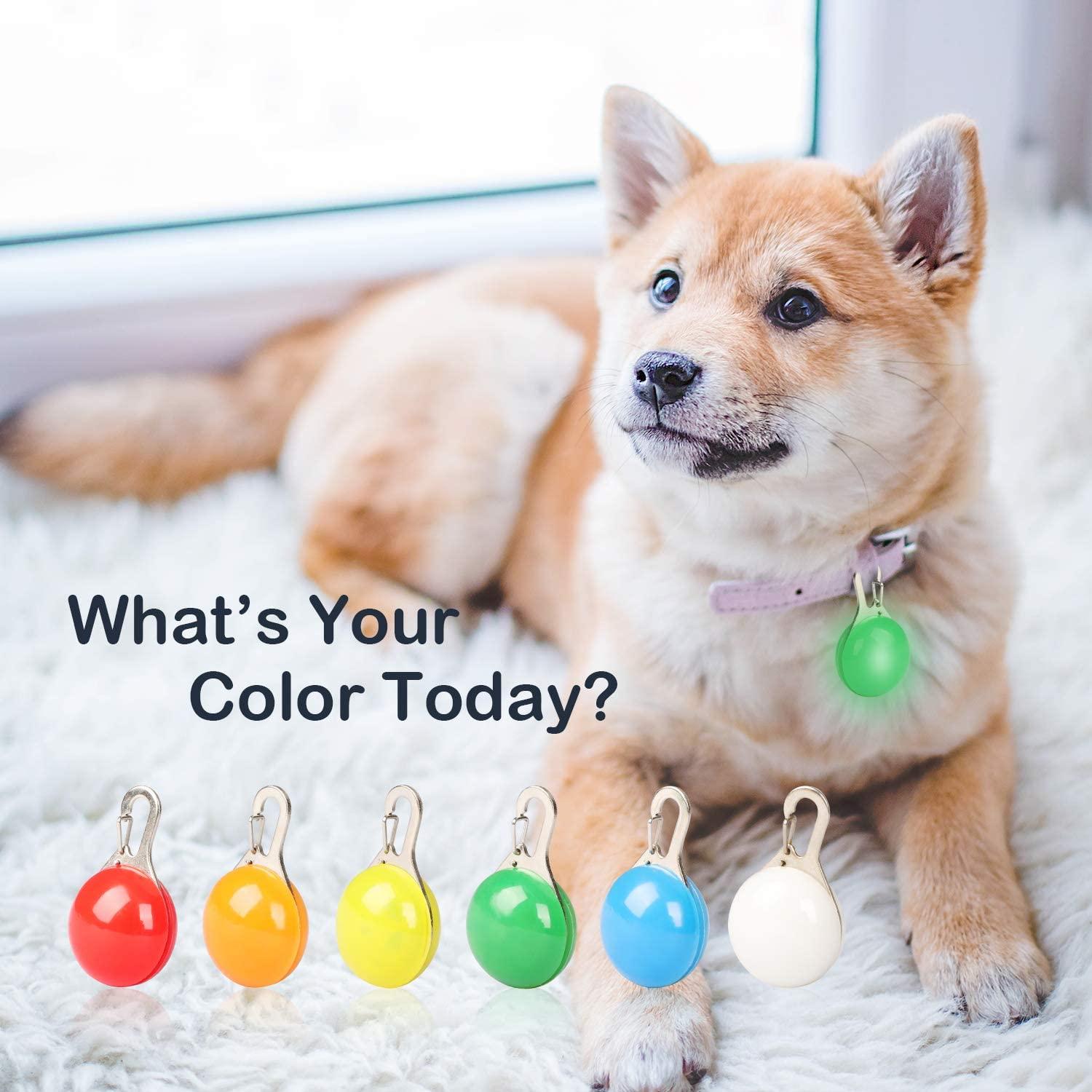 Đèn chùm chó phát sáng, đèn LED chó, 6 đèn an toàn chó mèo đầy màu sắc cho Keychain Bike Chạy đi bộ đường dài, đèn chùm không thấm nước LED