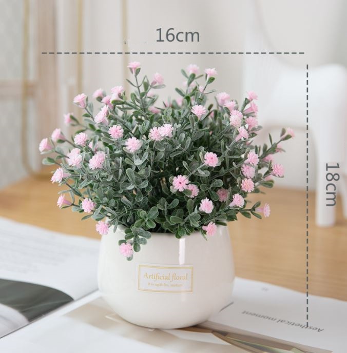 Chậu Hoa Để Bàn Baby Gypsophila  - Qùa Tặng Ý Nghĩa