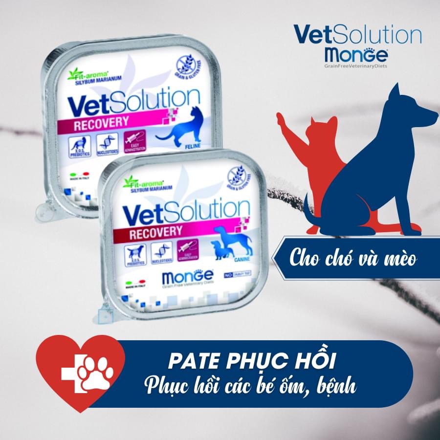 Pate phục hồi cho chó bệnh, bổ sung dinh dưỡng cao cấp (Monge, Ý)