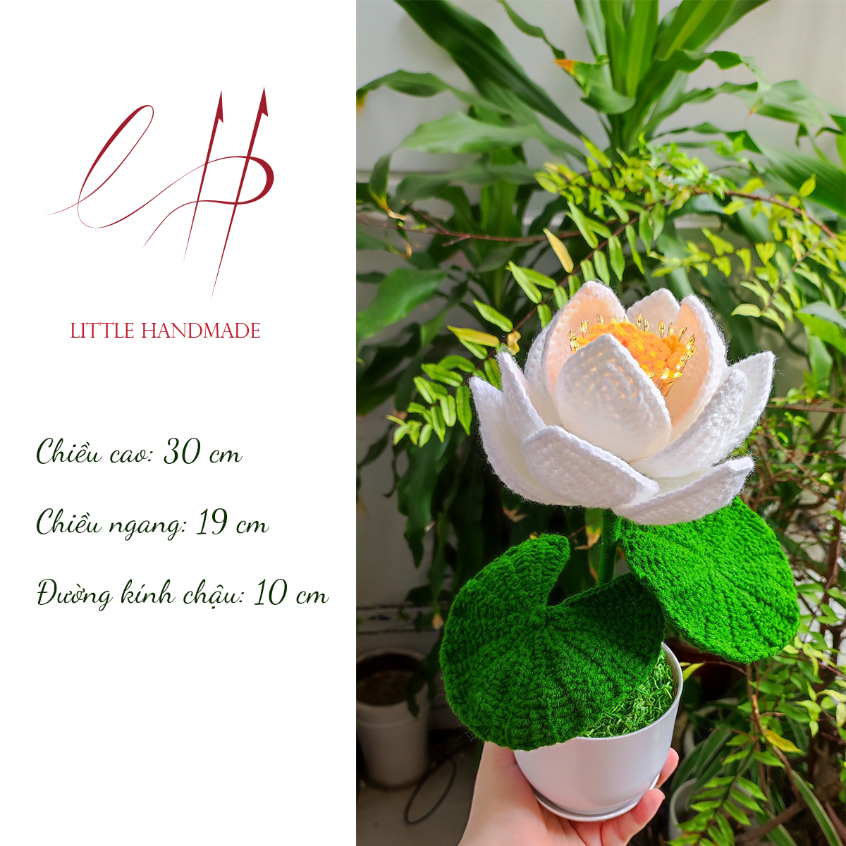 Chậu hoa sen trắng 12 cánh 30x19x10 cm trang trí bàn học, bàn làm việc, làm đèn ngủ, quà tặng,...