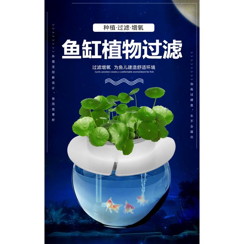 Bộ Lọc Sinh Thái Thực Vật Bể Cá Nomo Không Có Máy Bơm Nước, Thay Nước Bể Cá Im Lặng, Bơm Nước, Bộ Lọc Mực Nước