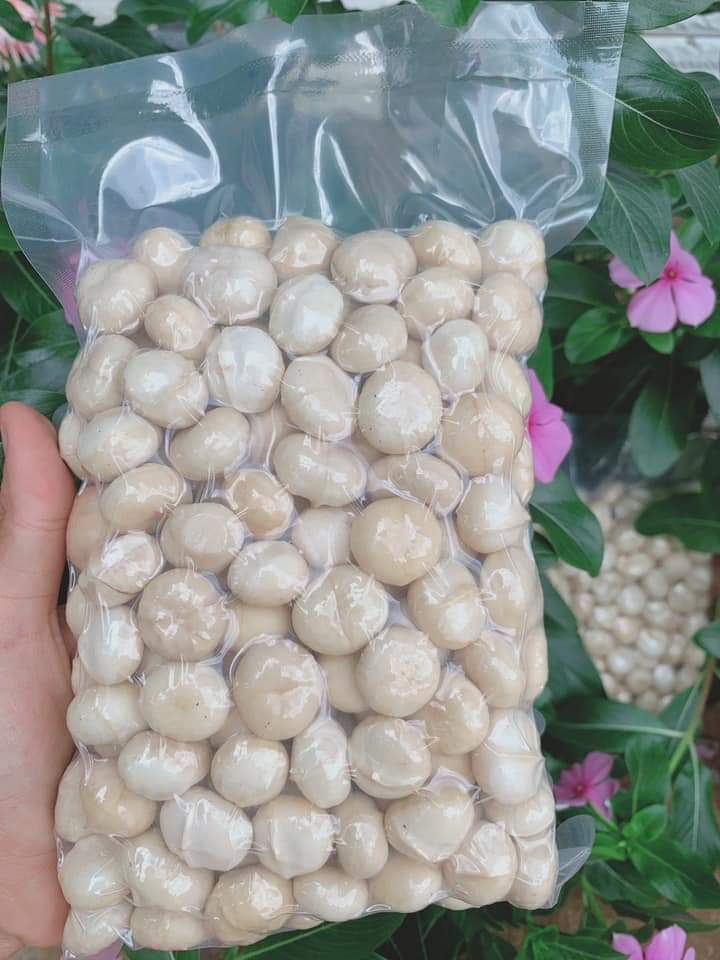 500G Nhân Macca Sạch Lâm Đồng Cao Cấp Đã Sấy