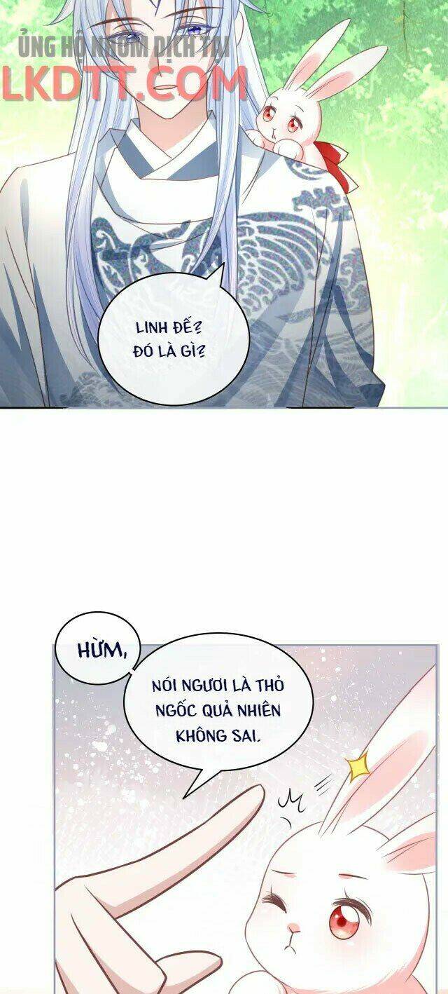 hắc hóa nam chính trực tuyến nuôi thỏ chapter 23 13