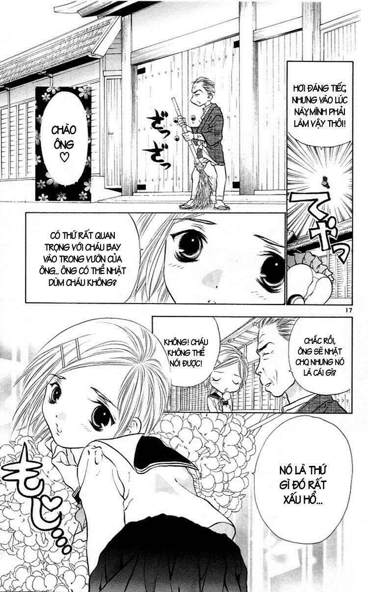 girls saurus chapter 16 17