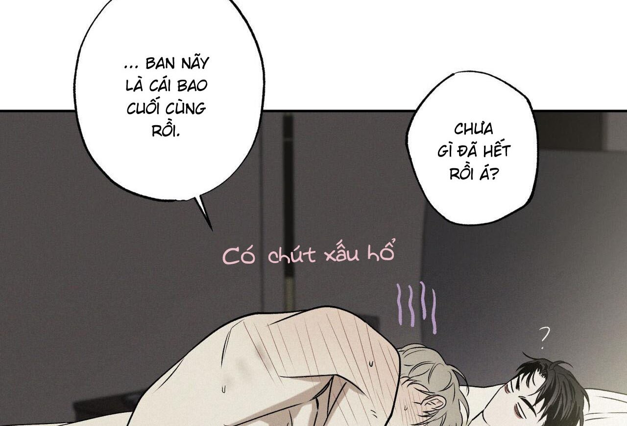 chàng giao pizza và gold palace chapter 47 54