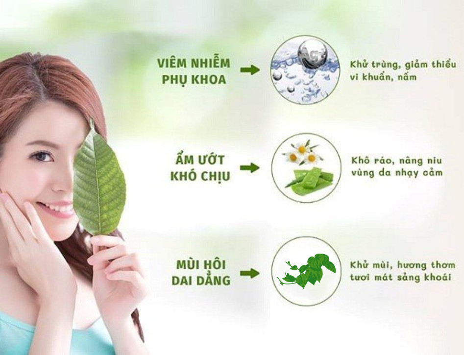 Dung Dịch Vệ Sinh V9Queen, Kết Hợp Trầu Không Nano Bạc Giảm Viêm Ngứa