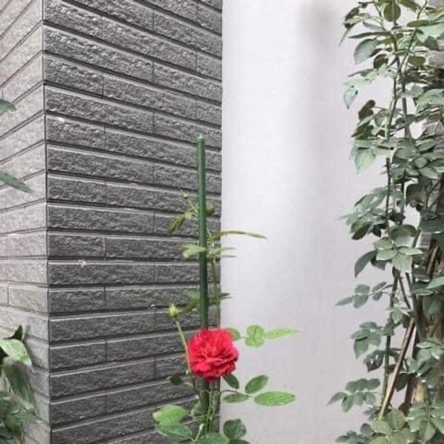 Cọc đỡ hoa Hồng lõi thép bọc nhựa 90 cm