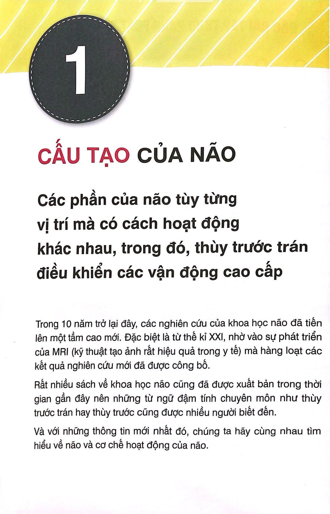 Sách - Phương Pháp Kubota - Nuôi Dưỡng Não Trẻ - Từ 0-2 Tuổi (Tái Bản 2025)