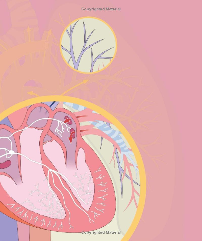 Sách ngoại văn: How Everything Works - From Brain Cells To Black Holes