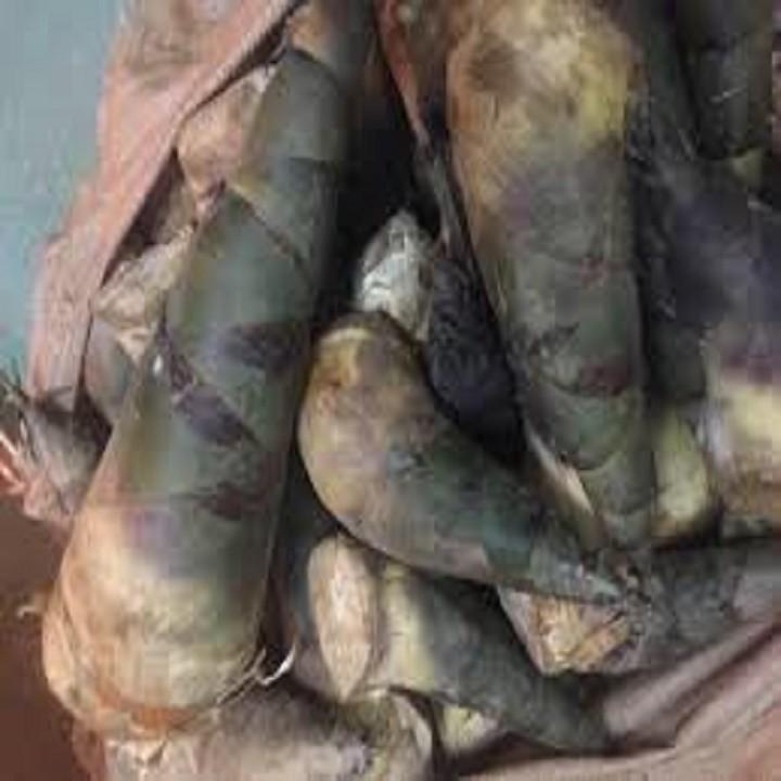 COM BO 2 CÂY GIỐNG MĂNG BÁT ĐỘ