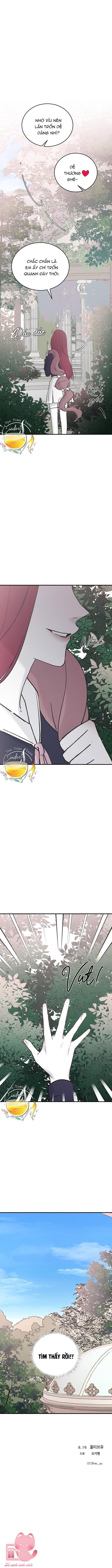 ba anh trai cực phẩm của tôi chapter 36 17