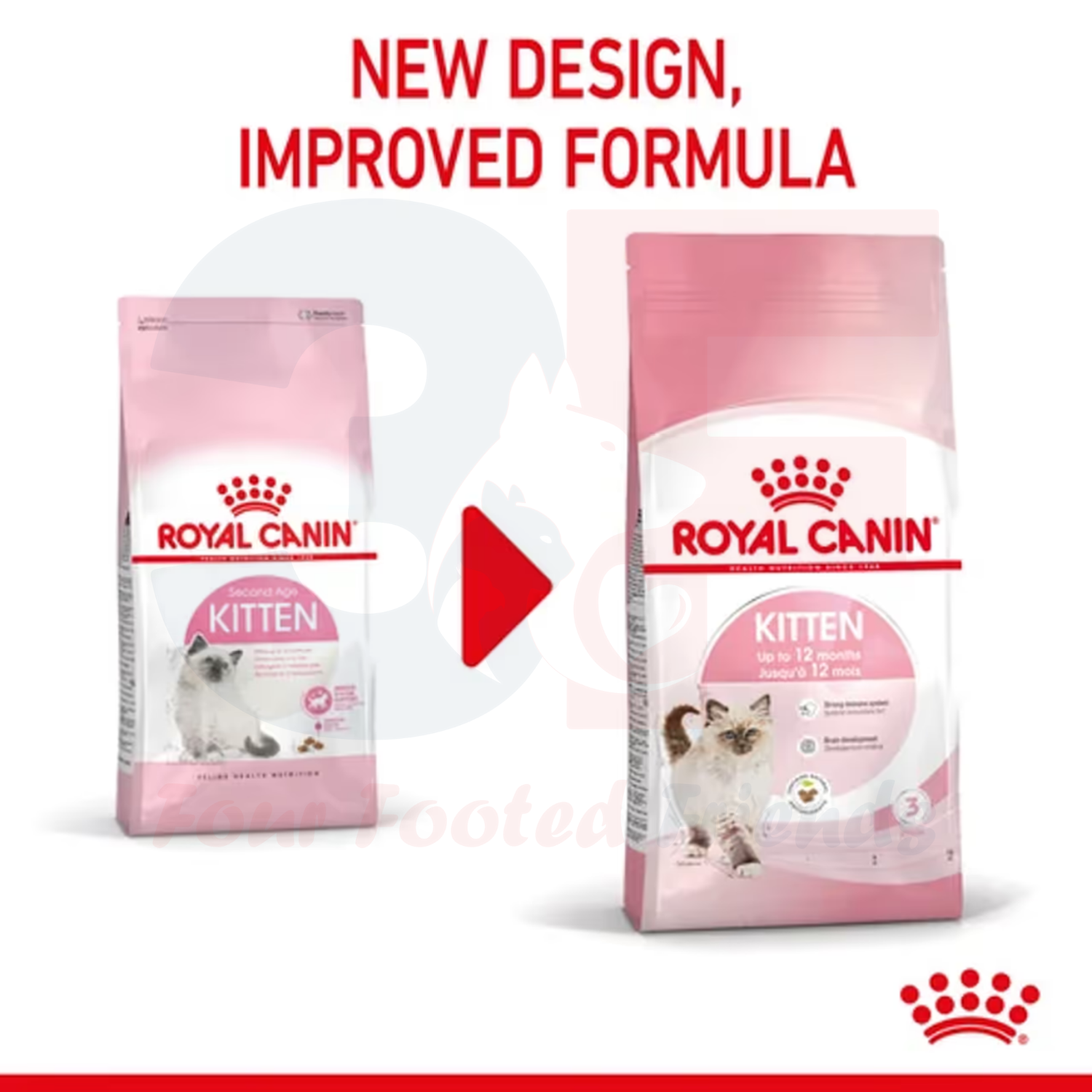 Thức Ăn Cho Mèo Con Từ 4-12 Tháng Tuổi Royal Canin Kitten 36