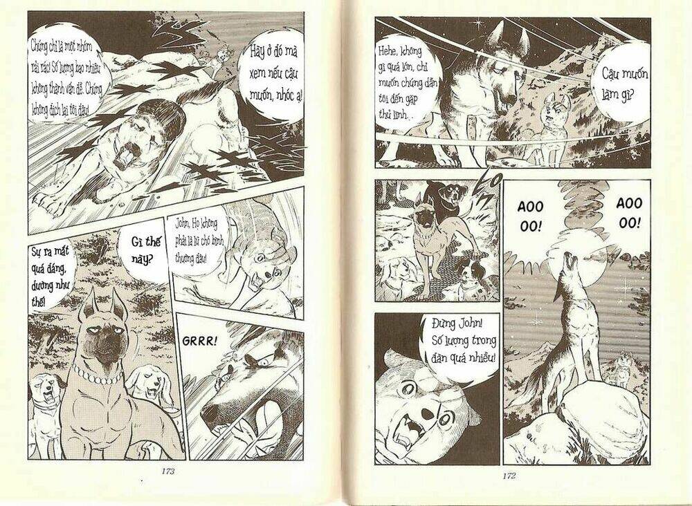 chú chó có nghĩa - ginga nagareboshi gin chapter 10 8