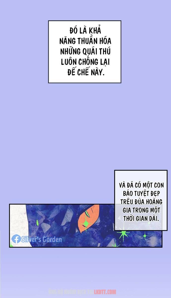 tôi đang nuôi dưỡng một con quái thú chapter 4 65