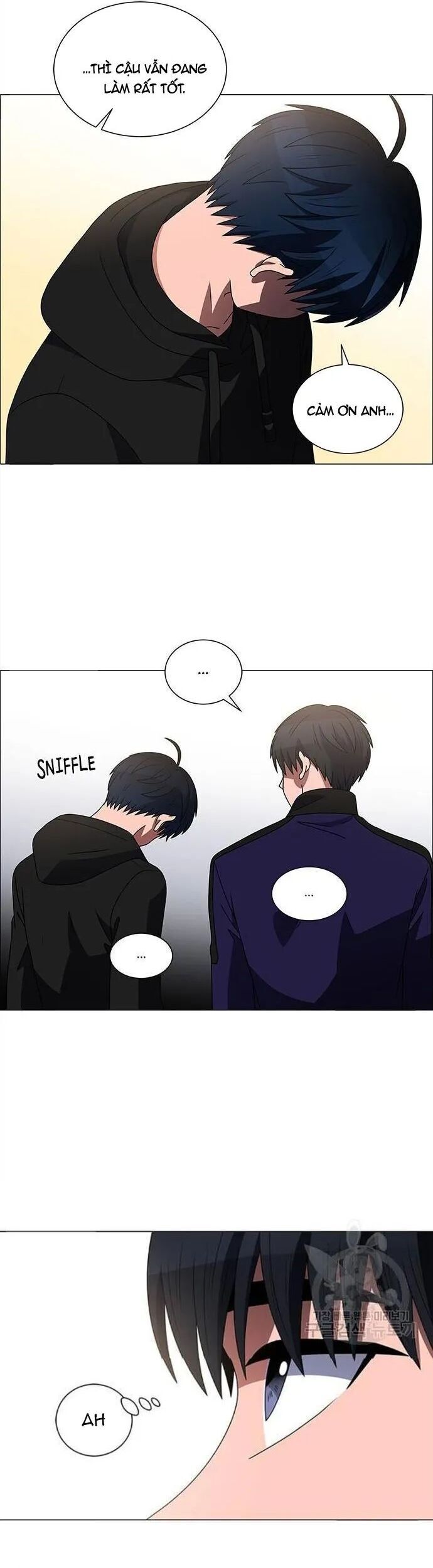 no scope chapter 166 26