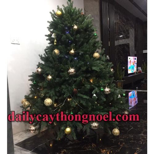 Cây thông noel PE cao cấp Cao 2m4 - Cây tự động bung - Loại cây đẹp sang trọng