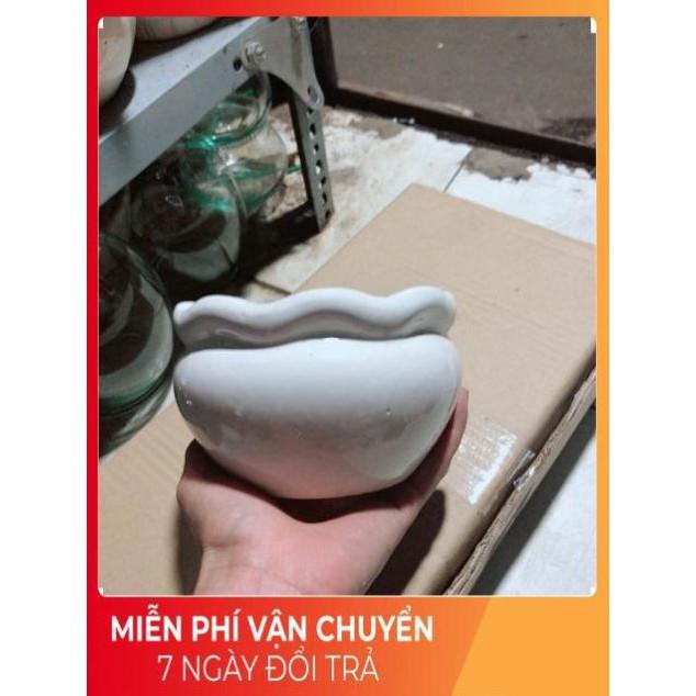 Chậu Trồng Cây