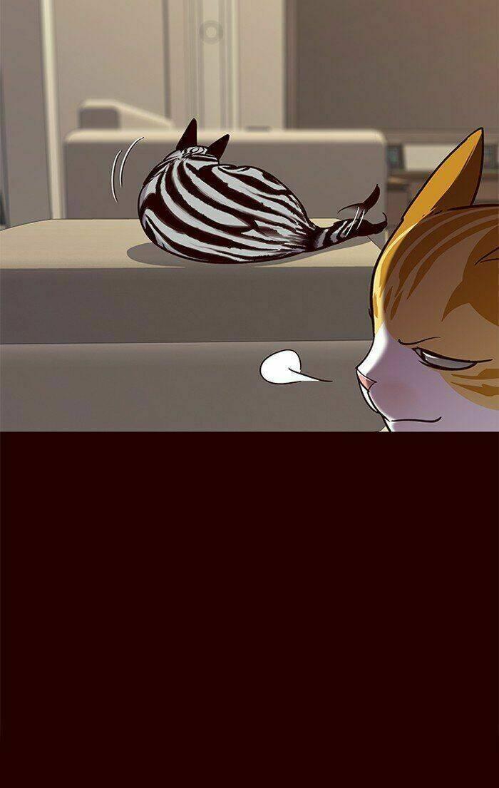 biến thân thành mèo chapter 67 45