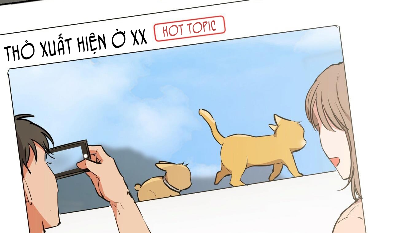 đàn thỏ của habibi chapter 48 75