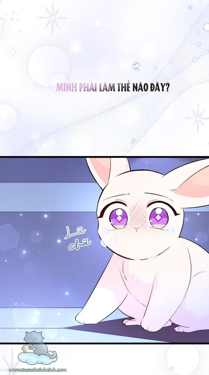 quan hệ cộng sinh giữa báo đen và thỏ trắng chapter 58 57