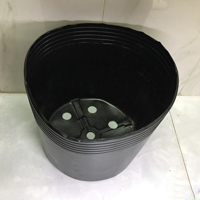 500 Chậu nhựa C6 trồng cây và ươm cây giống miệng.cao 14x12 cm -77100