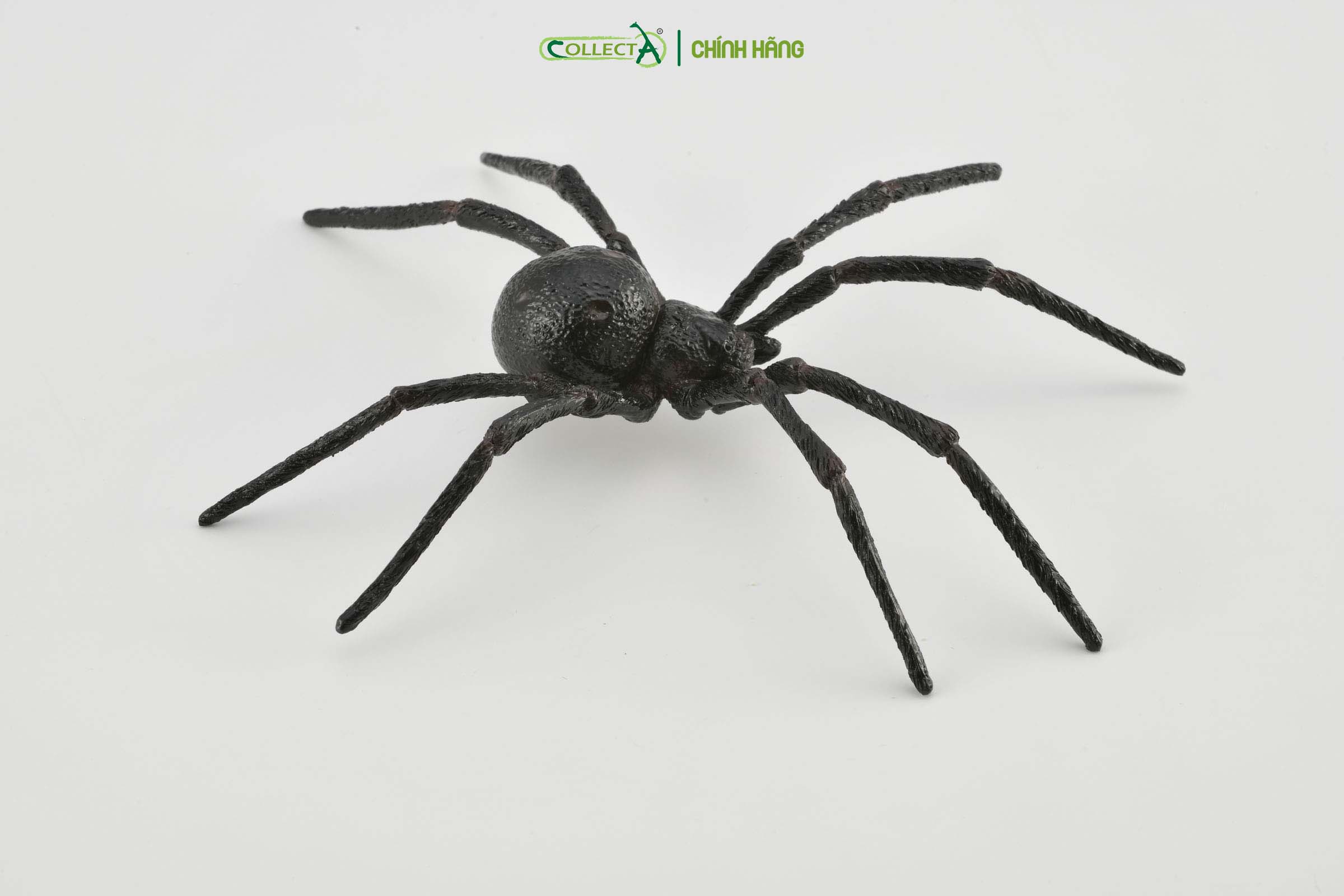 Mô hình thu nhỏ: Nhện Goá Phụ Đen - Black Widow Spider, hiệu: CollectA, mã HS 9653010[88884] -  Chất liệu an toàn cho trẻ - Hàng chính hãng