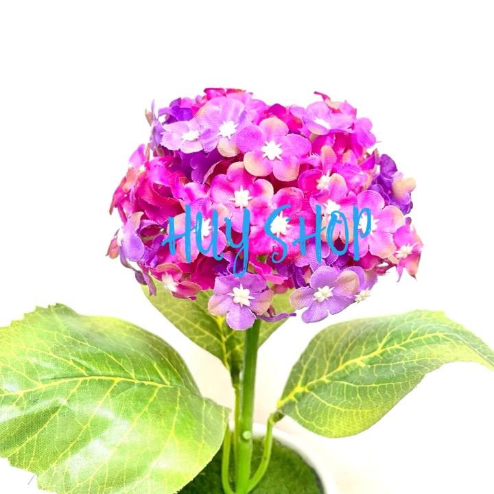 Lọ Hoa CẨM TÚ CẦU Sao nhân tạo trang trí nhà cửa