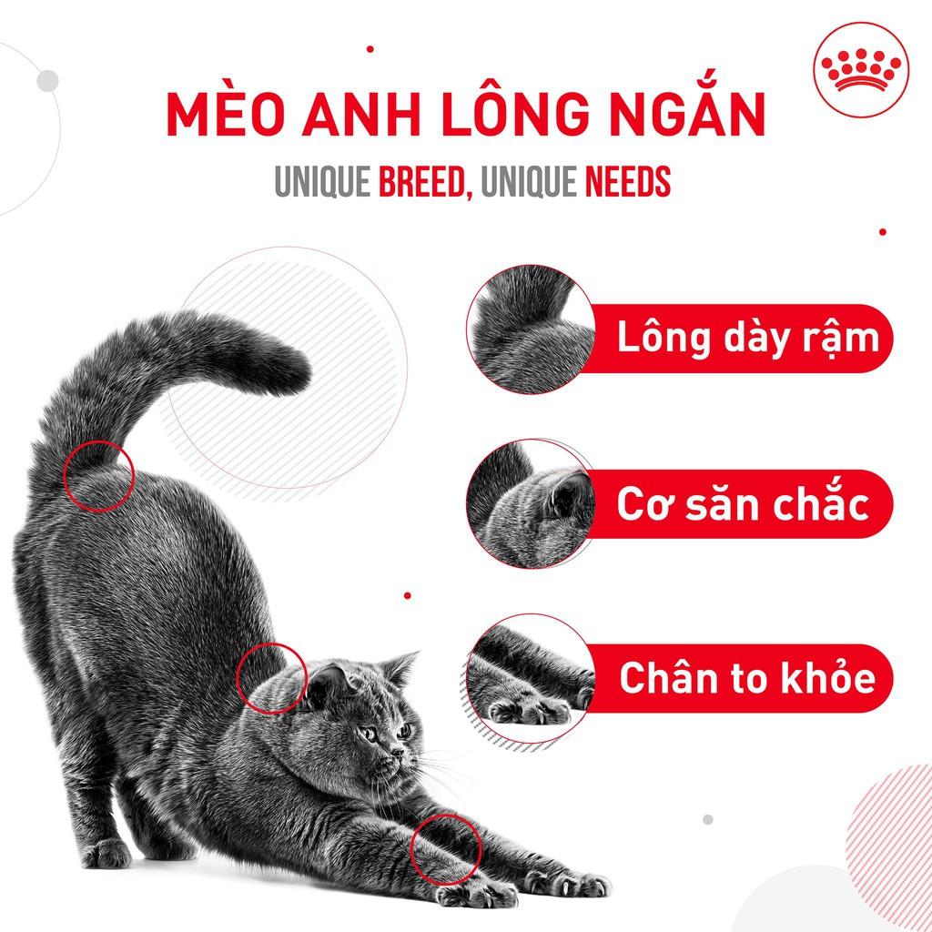 Hạt Royal Canin British Shorthair Adult Cho Mèo Lớn Anh Lông Ngắn Trưởng Thành - 400g