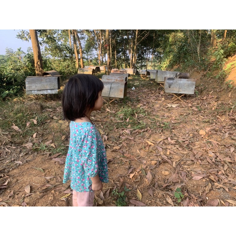 1L Mật Ong Rừng Tự Nhiên,Mật Ong Nuôi Núi Rừng