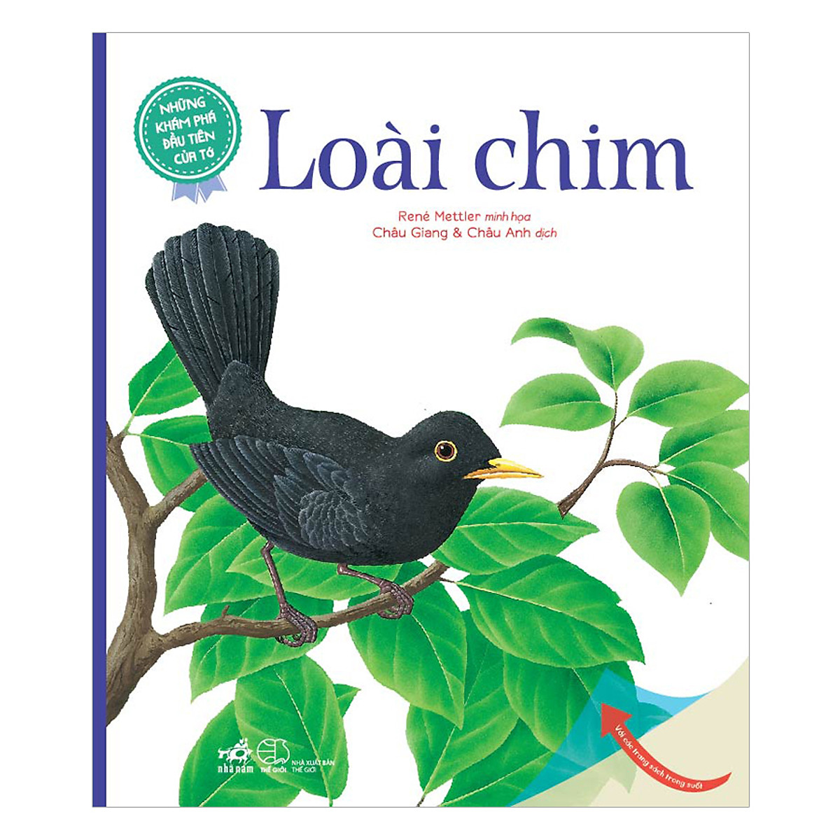 Combo 2 cuốn sách: Ngày bút sáp màu trở về + Những khám phá đầu tiên của tớ - Loài chim