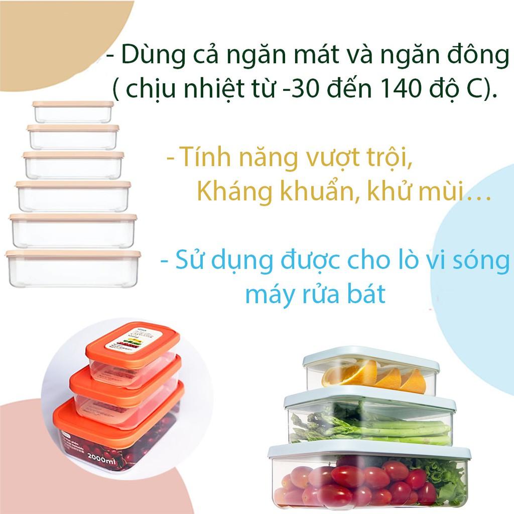 Hộp Đựng Thực Phẩm Chữ Nhật Bộ 3 Size Lớn 750 - 1500 - 2500ml Đựng, Dữ Trữ Đồ Ăn Tủ Lạnh