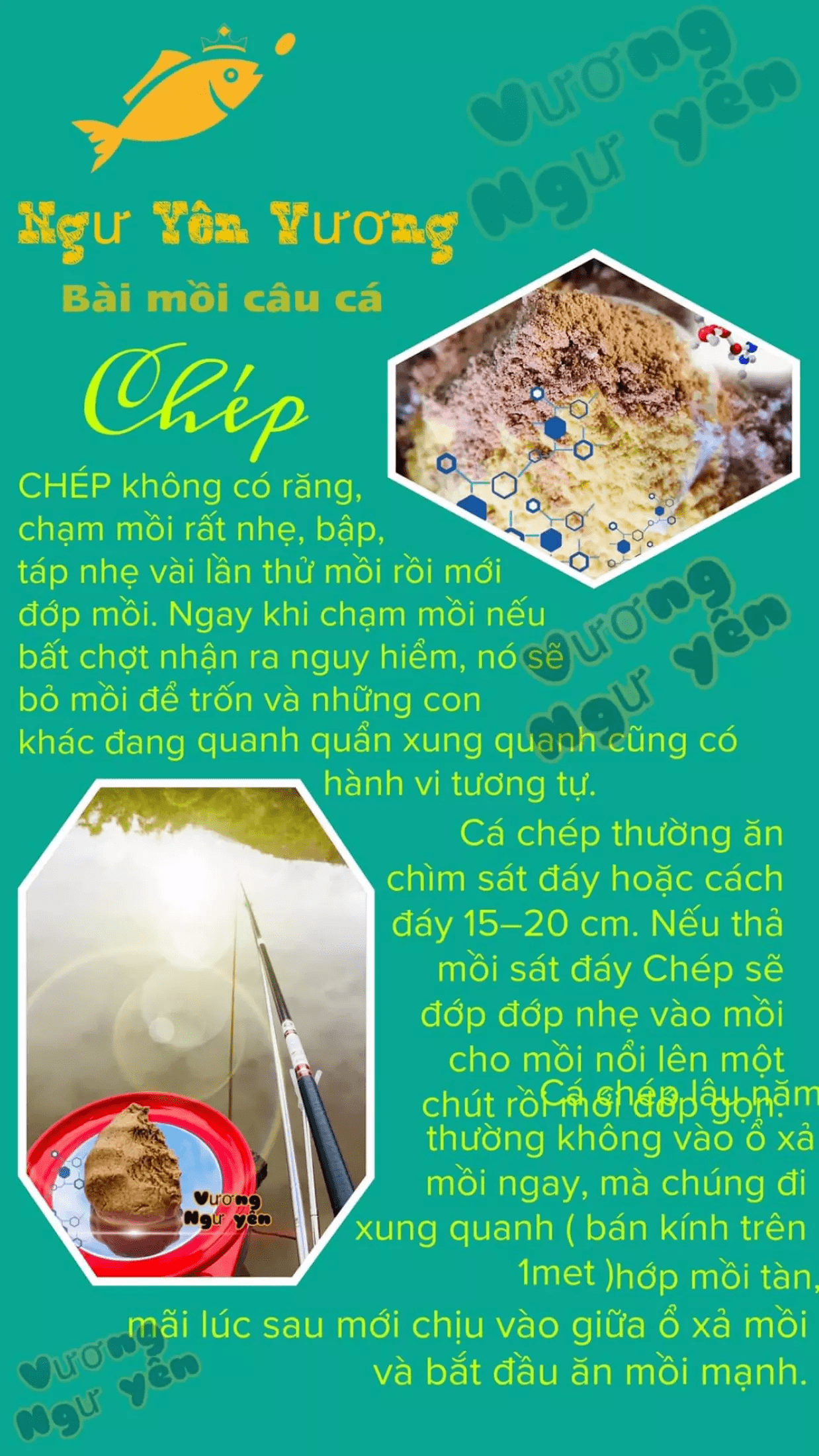 Bài Mồi câu cá chuyên Diếc, Chép, Mè Vinh - Vương Ngư Yên / bột câu cá / cước / thẻo / cần câu / ô dù / ghế câu / lưỡi câu