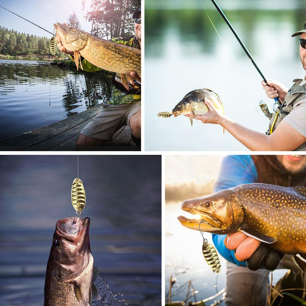 6 Cái Mồi Câu Cá Nhân Tạo Chất Lượng