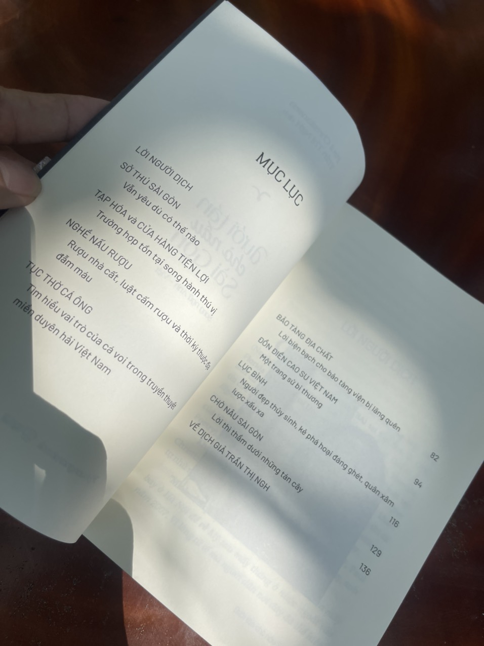 DƯỚI TÁN CHÒ NÂU SÀI GÒN – song ngữ Việt – Anh – Trần Thị NgH – Paul Christiansen